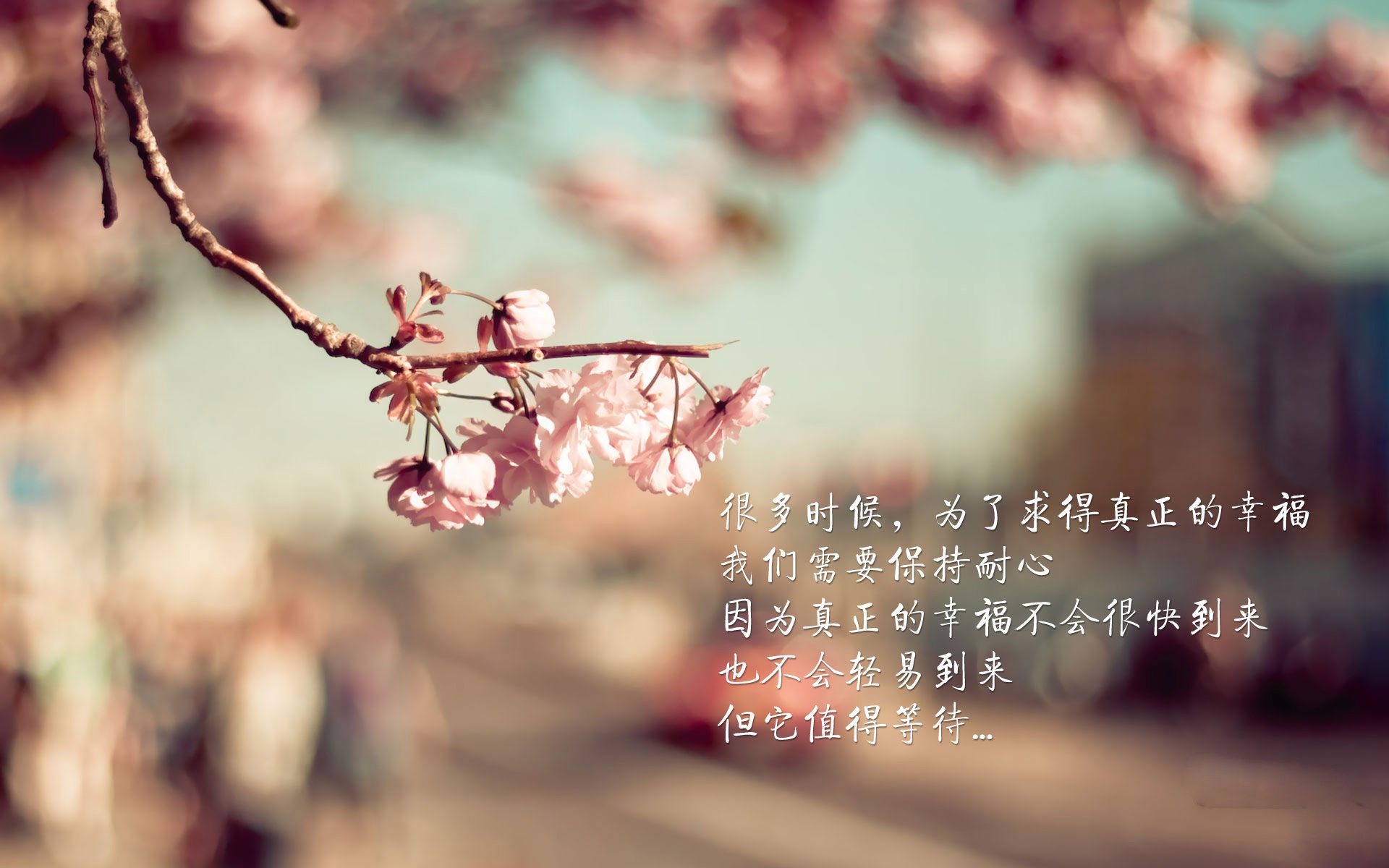 fb体育平台安全-“青训基地建设提速，打造高水平成长平台”，青训营在哪里