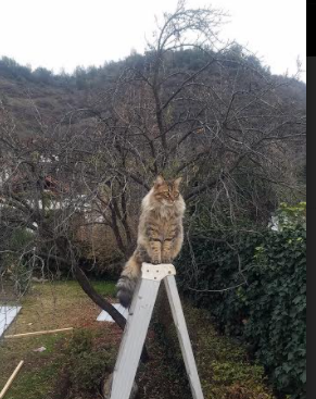 FB体育入口-中国足球进入冬训阶段各队积极备战,2021年冬训足球邀请赛