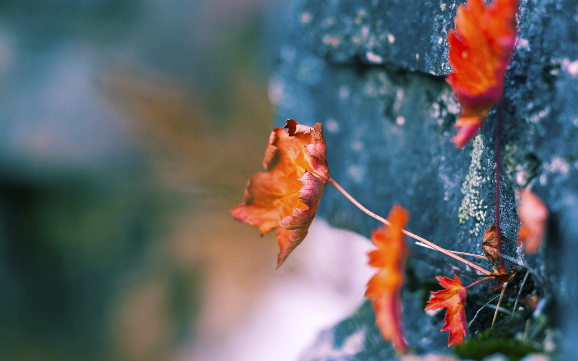 FB体育官方网站-英雄联盟 赛季关键比赛精彩纷呈，英雄联盟重要比赛