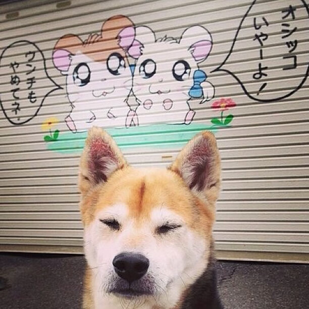 FB体育在线-财务危机警示：哪些球队面临资金紧张？