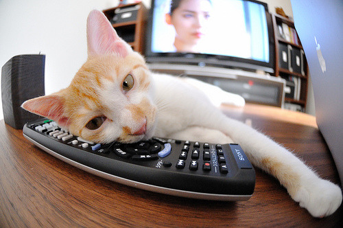 FB体育网页版-西甲:马德里竞技1-0击败瓦伦西亚,科克出场扳平比分,马德里竞技vs西班牙人