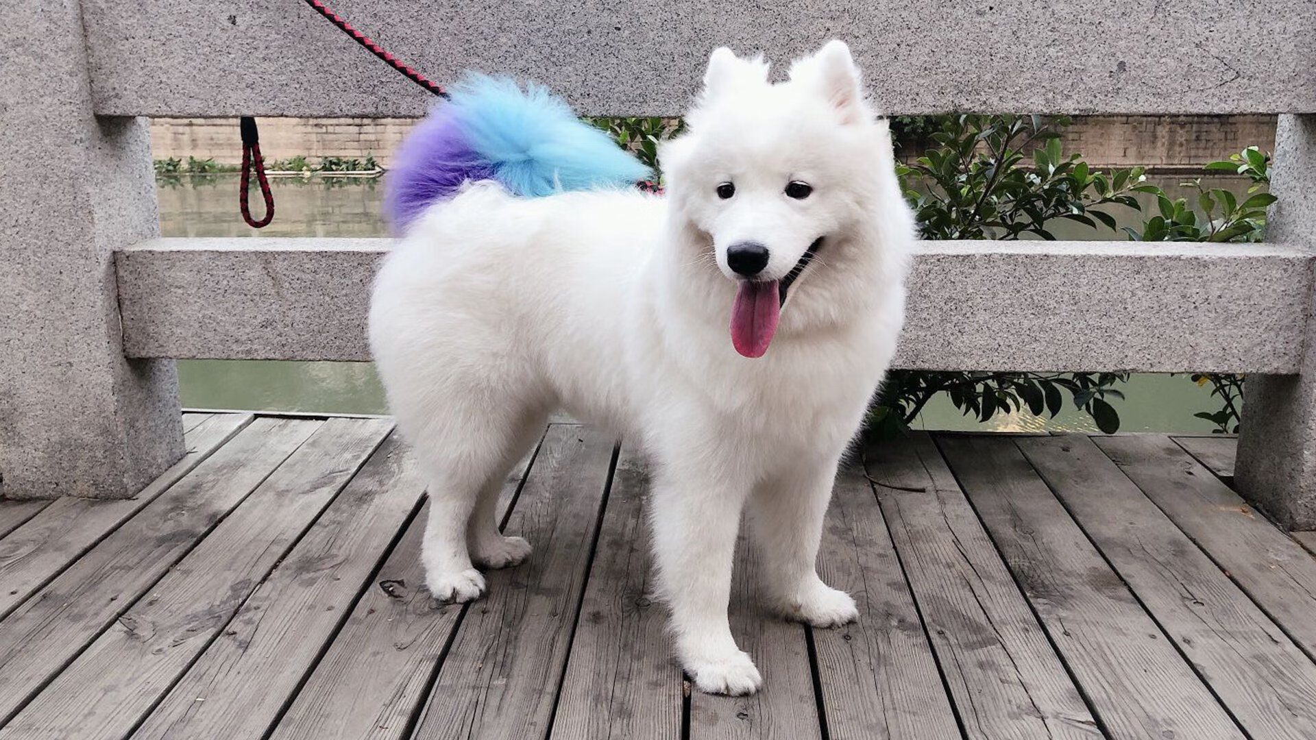 FB体育官方网站-跨界合作新模式：电竞与时尚、影视的深度融合，电竞生态跨界融合