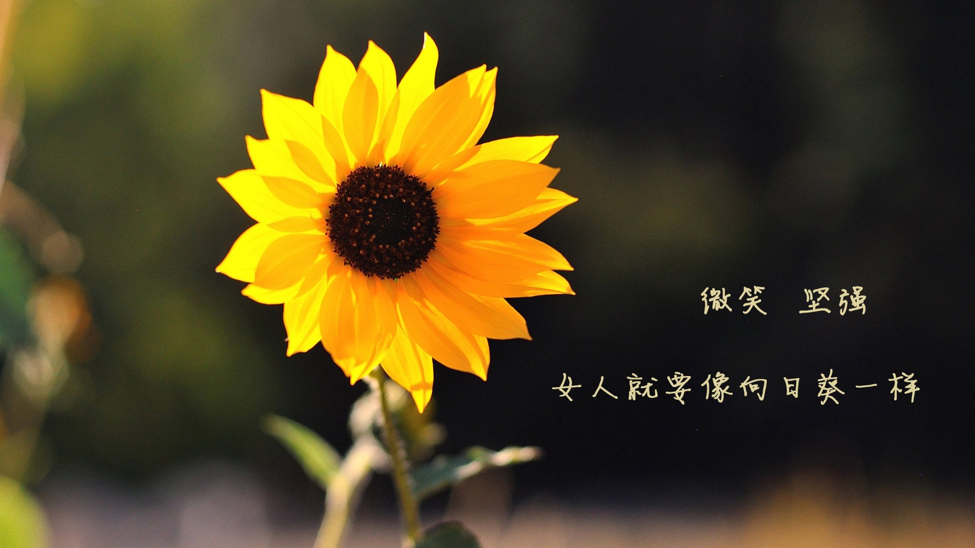 FB体育注册网址-JDG战队携手科研机构研究电竞运动员代谢机制,jc电竞队员