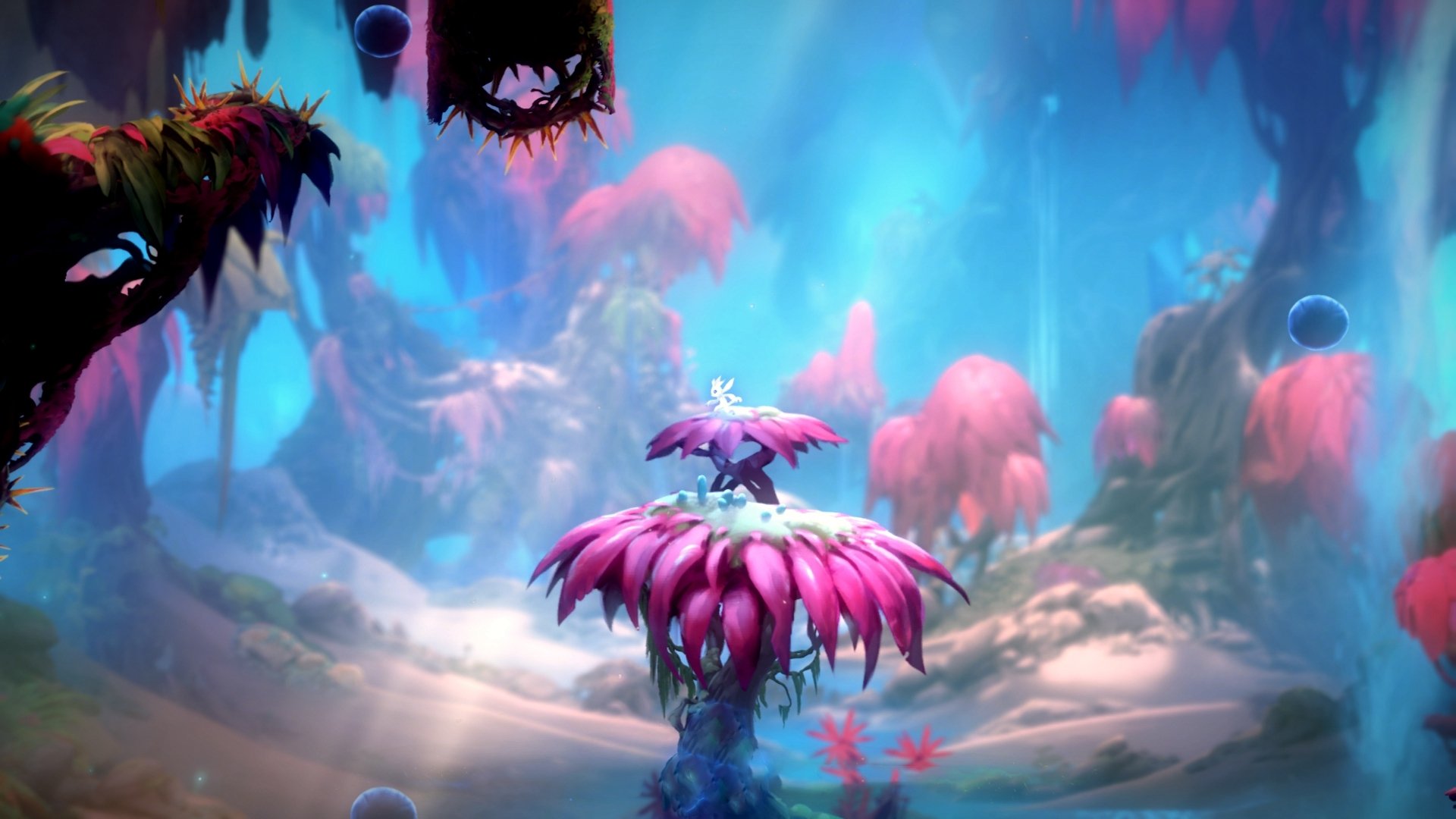 fb体育平台安全-中国围棋协会发布围棋职业棋手培养计划,中国业余围棋升职业