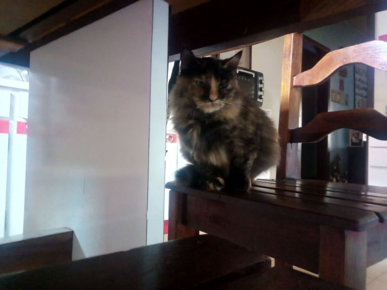 FB体育娱乐-伊朗篮球战术体系日益完善,伊朗篮球联赛水平