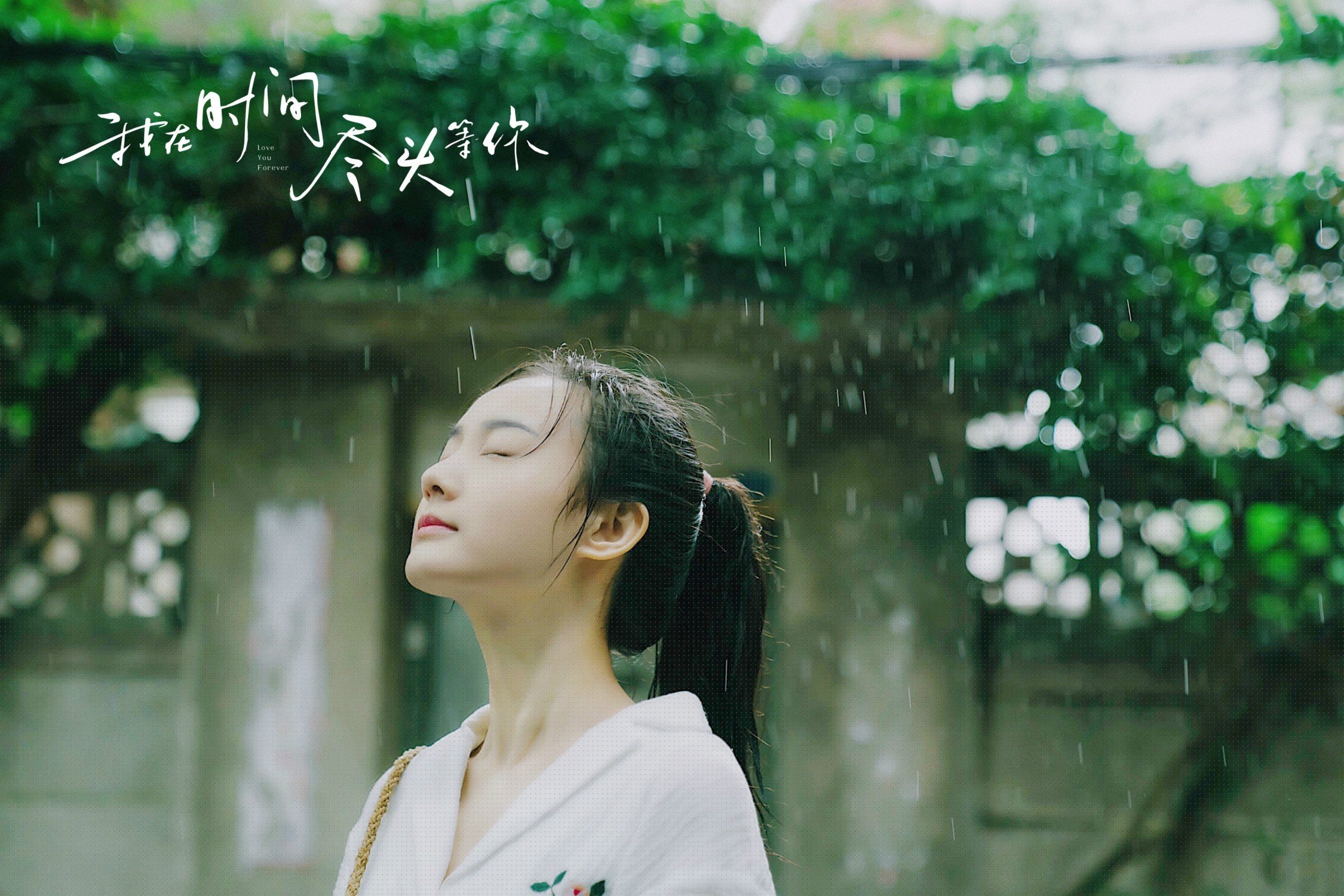 FB体育APP-全北现代锋线火力全开,直播_全北现代vs