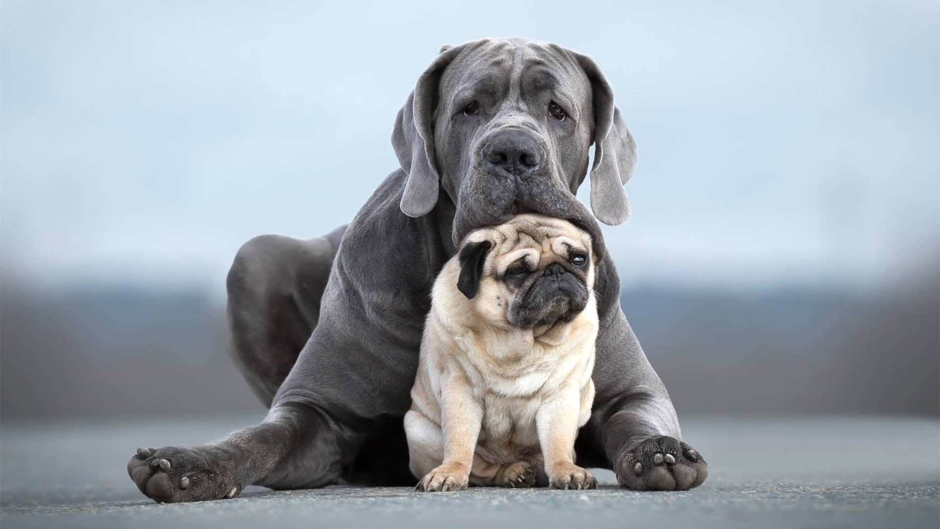 FB体育网页版-南安普顿防线稳固，力求保级，南安普顿是什么意思