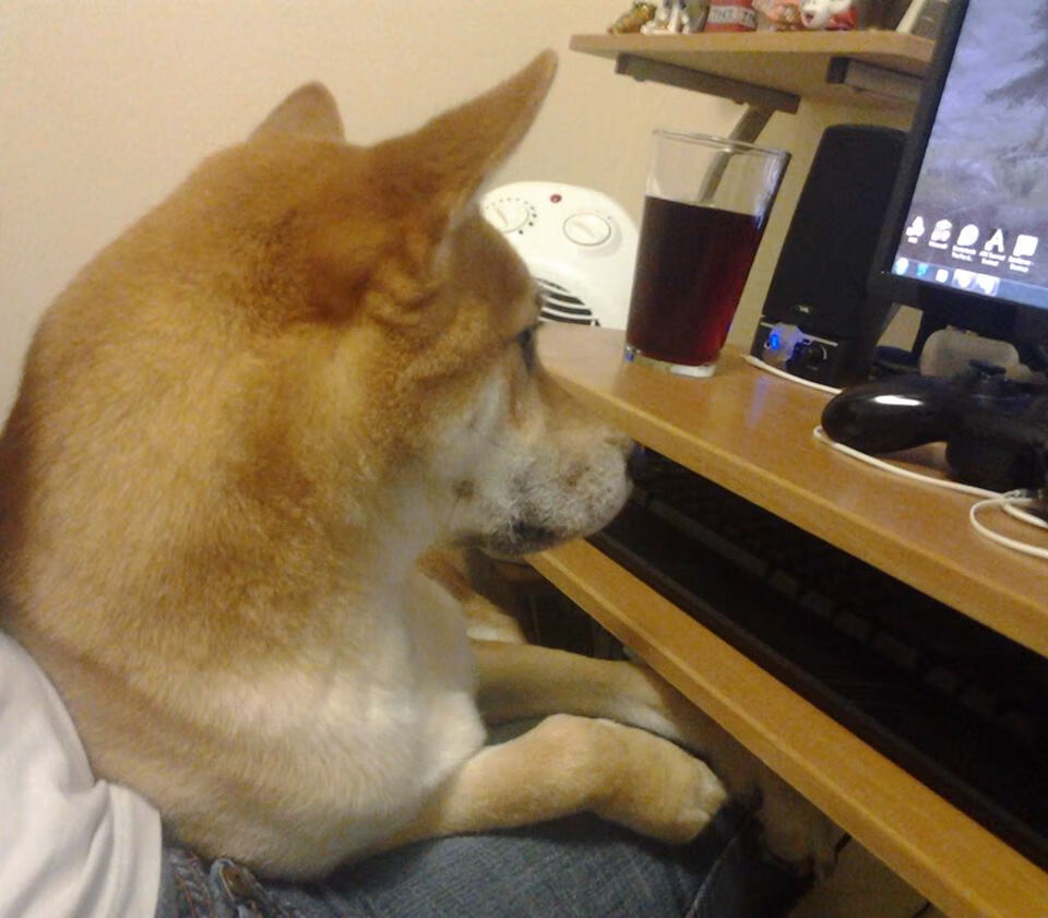 FB体育官方-塞尔维亚雄起,瓦迪特敖尔率队进军淘汰,瓦西奇 塞尔维亚