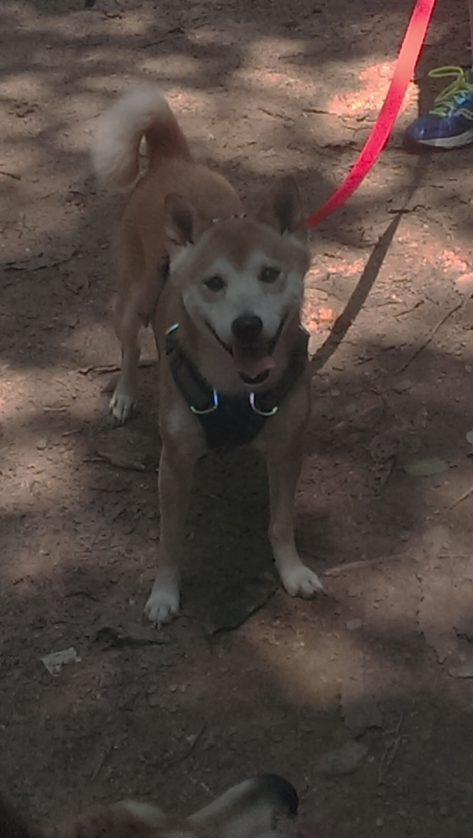 fb体育网址-女足世界杯环保理念推广，女足世界杯海报