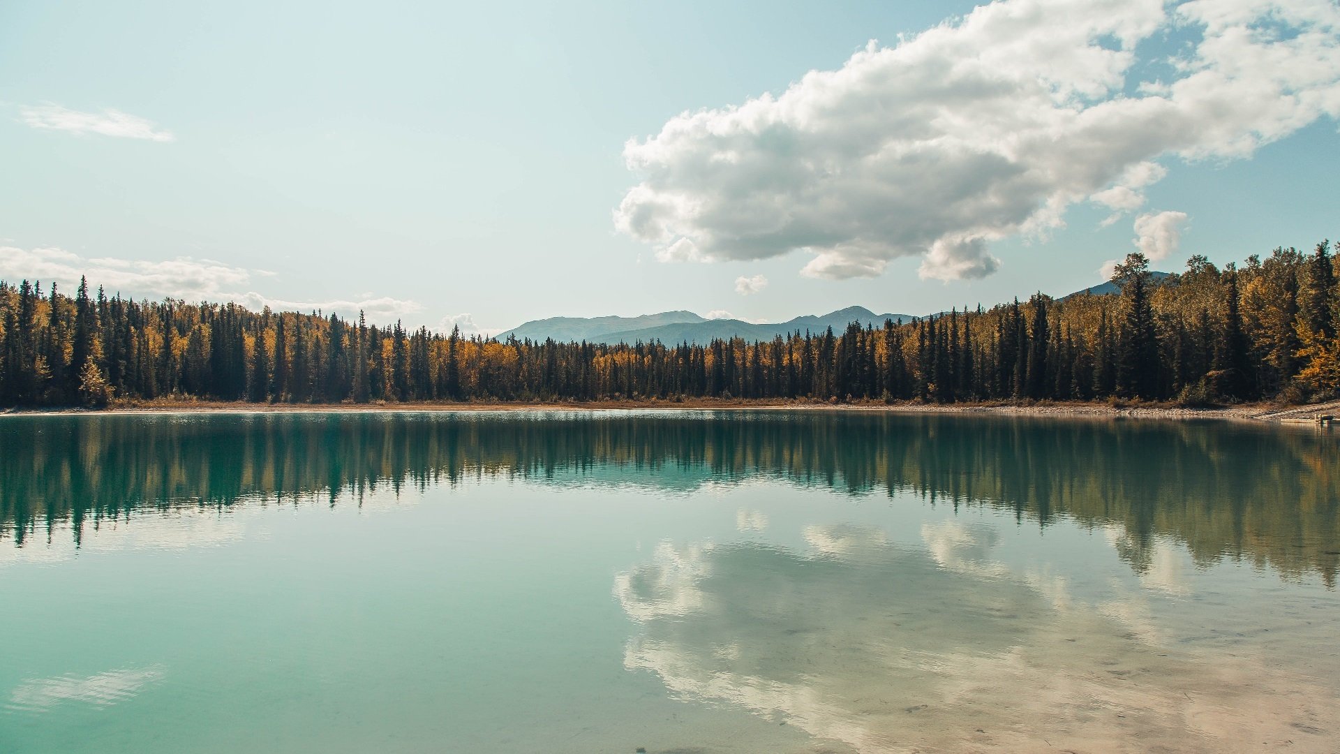 FB体育在线-意外高尔夫球童受伤引发关注,高尔夫球童知乎