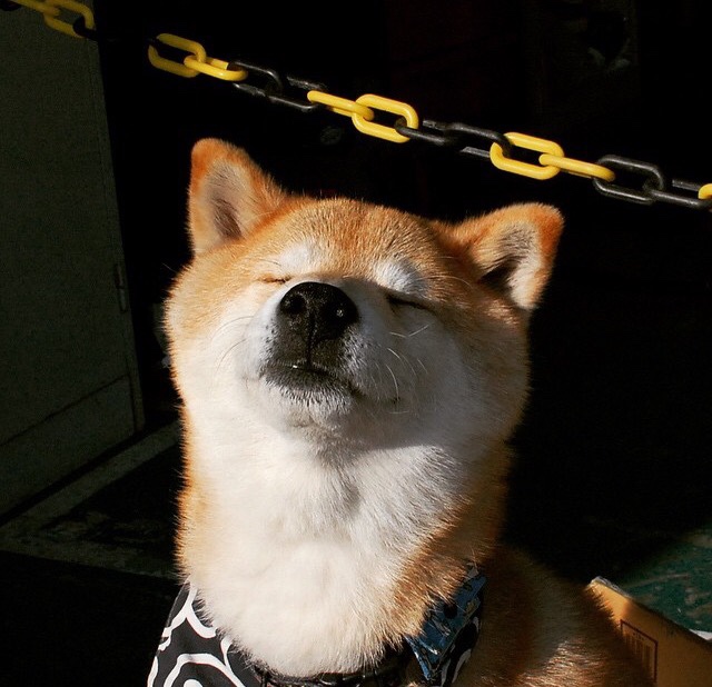 FB体育入口-挪威力克芬兰，成功晋级欧锦赛淘汰赛，挪威力克芬兰,成功晋级欧锦赛淘汰赛了吗