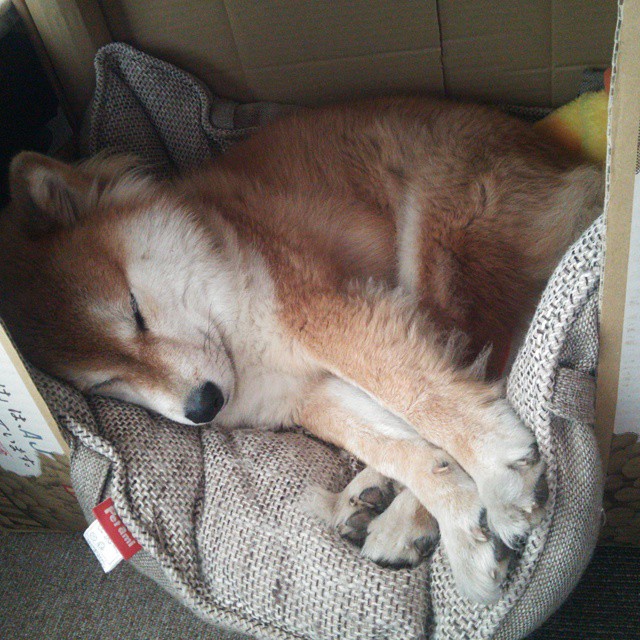 -摩纳哥客场不敌梅斯,联赛战绩遭遇寒冬,摩纳哥vs梅斯直播