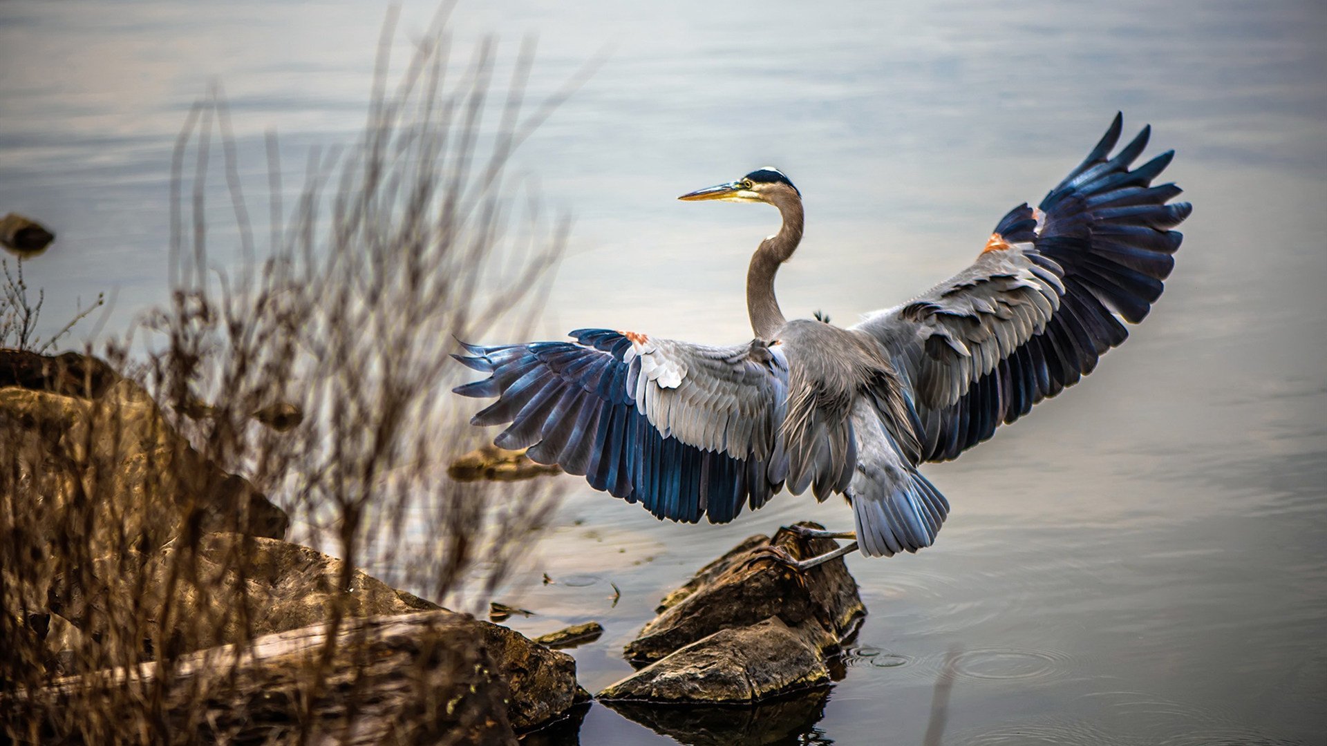 FBSPORTS-无可阻挡的冠军之路,国家队稳坐领先位置,国家队最好成绩