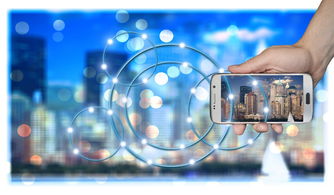 fb体育中国-中国篮球联赛品牌建设策略与粉丝经济发展路径研究,篮球品牌市场占有率