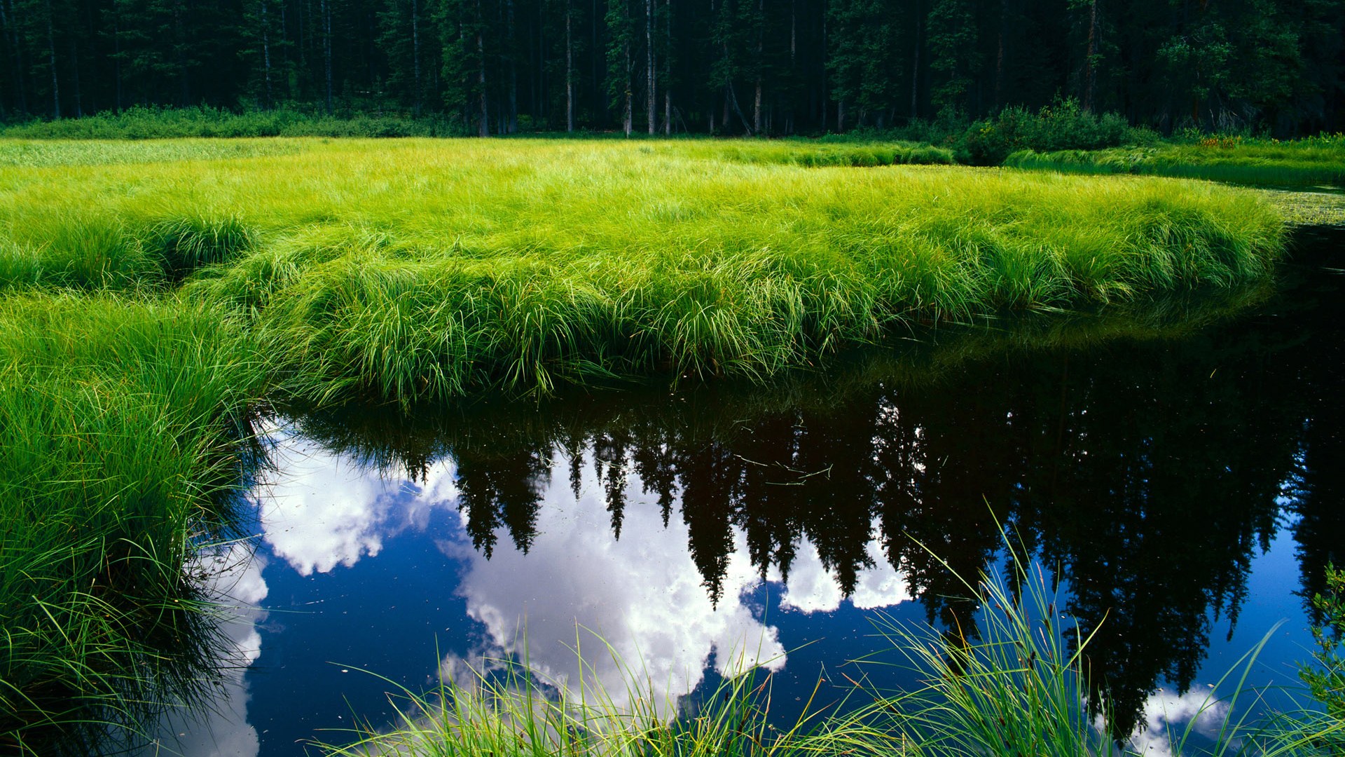 fb体育在线官网-中国篮球俱乐部青训体系绩效评估方法,篮球俱乐部青训营