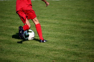 FB体育网站-意甲裁判语义分析系统在比赛判罚中的应用研究，意甲裁判名单