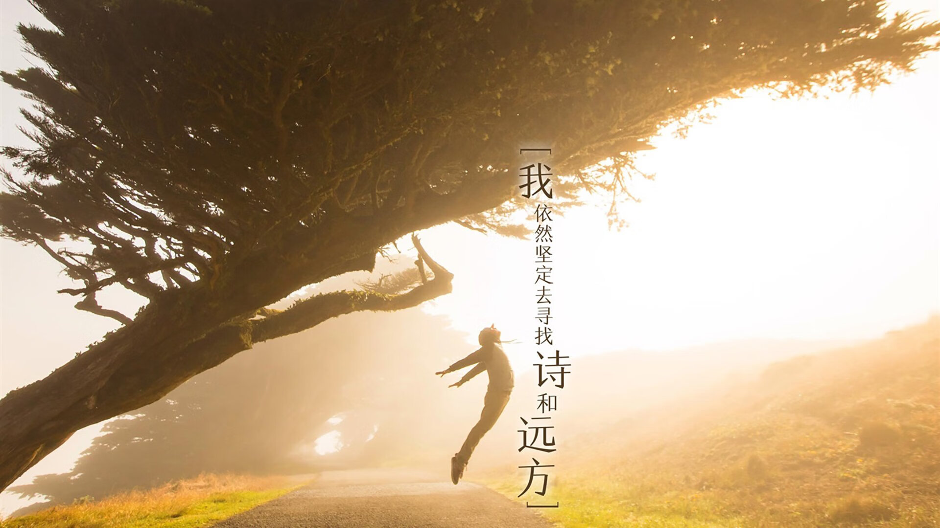 FB体育入口-篮球运动员训练负荷动态调整与科学管理研究,篮球运动员运动负荷量度