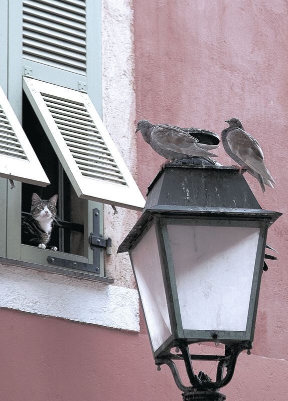 FB体育-运动员伤病预防体系建设,运动员预防伤病心得