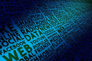 FB体育官方网站-青少年体育兴趣培养机制及社会支持体系研究，实施青少年体育活动促进计划培育青少年体育爱好