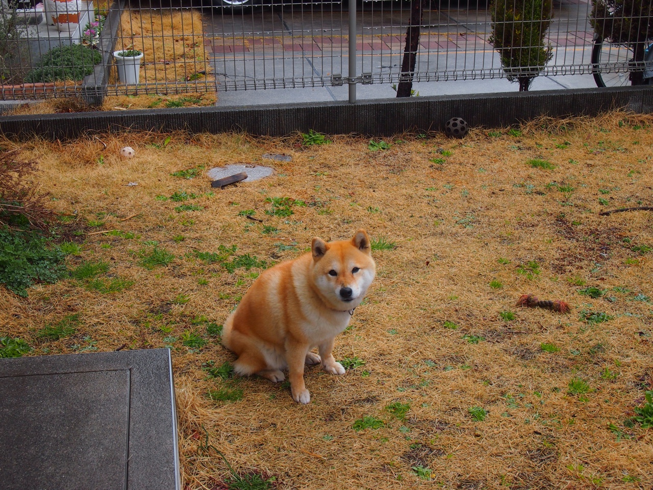 FB体育入口-CBA球队深化分析系统提升备战效率,cba推荐cba分析