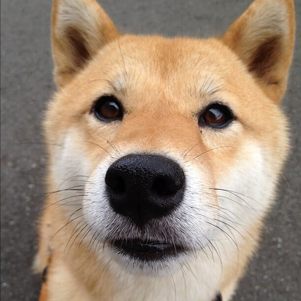 FB体育登录入口-FIBA世界排名约为133位,全球竞争力有限,fiba3x3世界排名