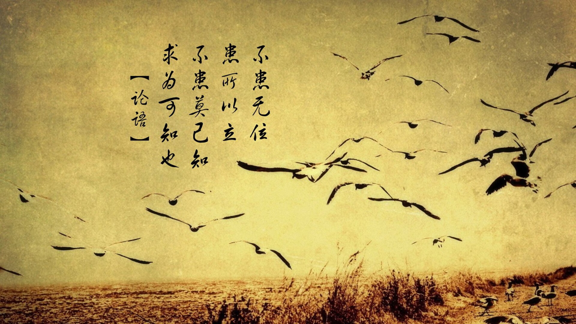 fb体育在线官网-中国足球人才流失是否无法避免,中国足球人才储备