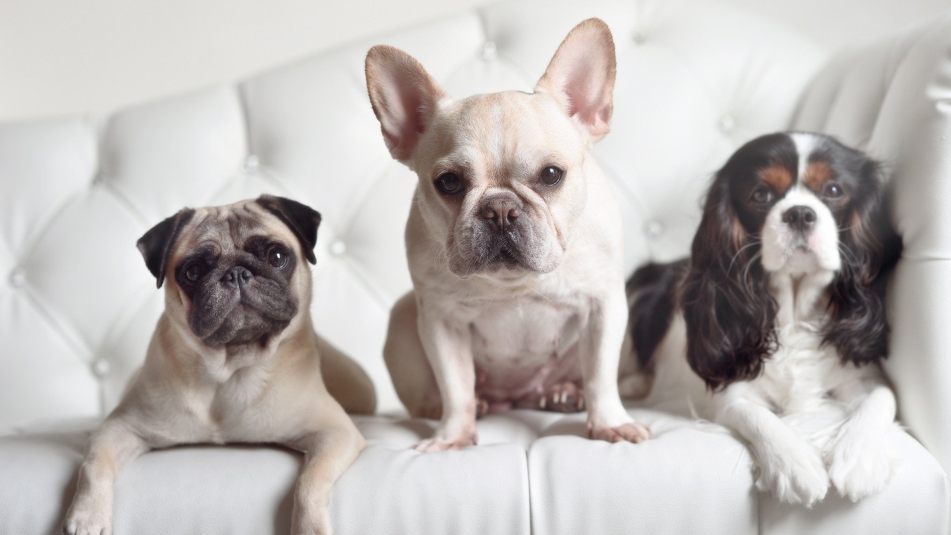 FB体育娱乐-中立B选手该项目分段表现逐步改善,比赛中立是什么意思