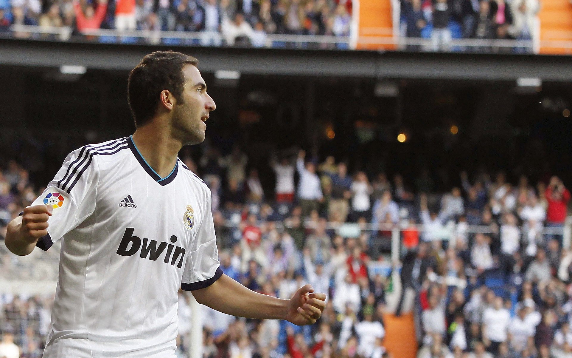 荣光时刻：伟大教练与球员的辉煌岁月